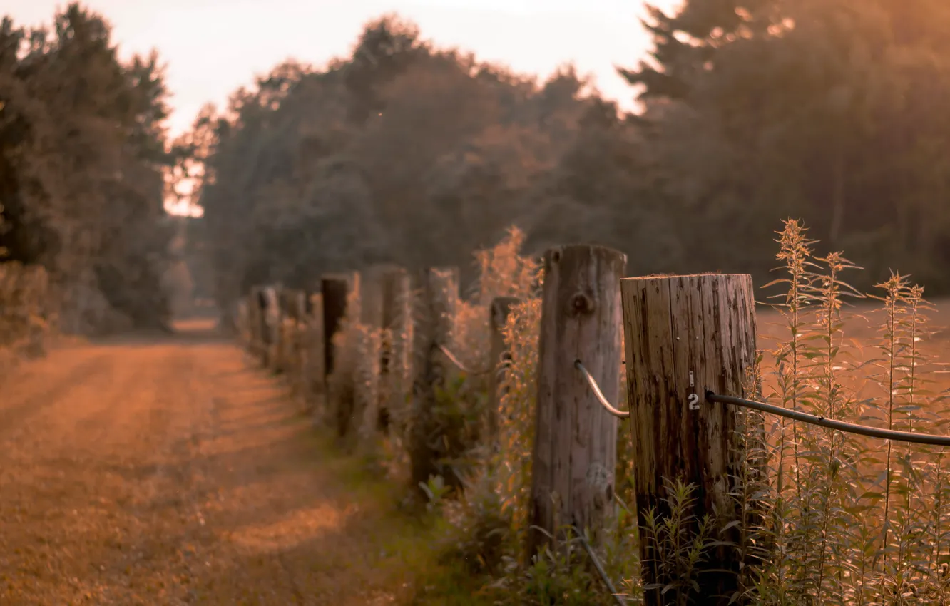 Photo wallpaper road, the fence, the evening, twilight