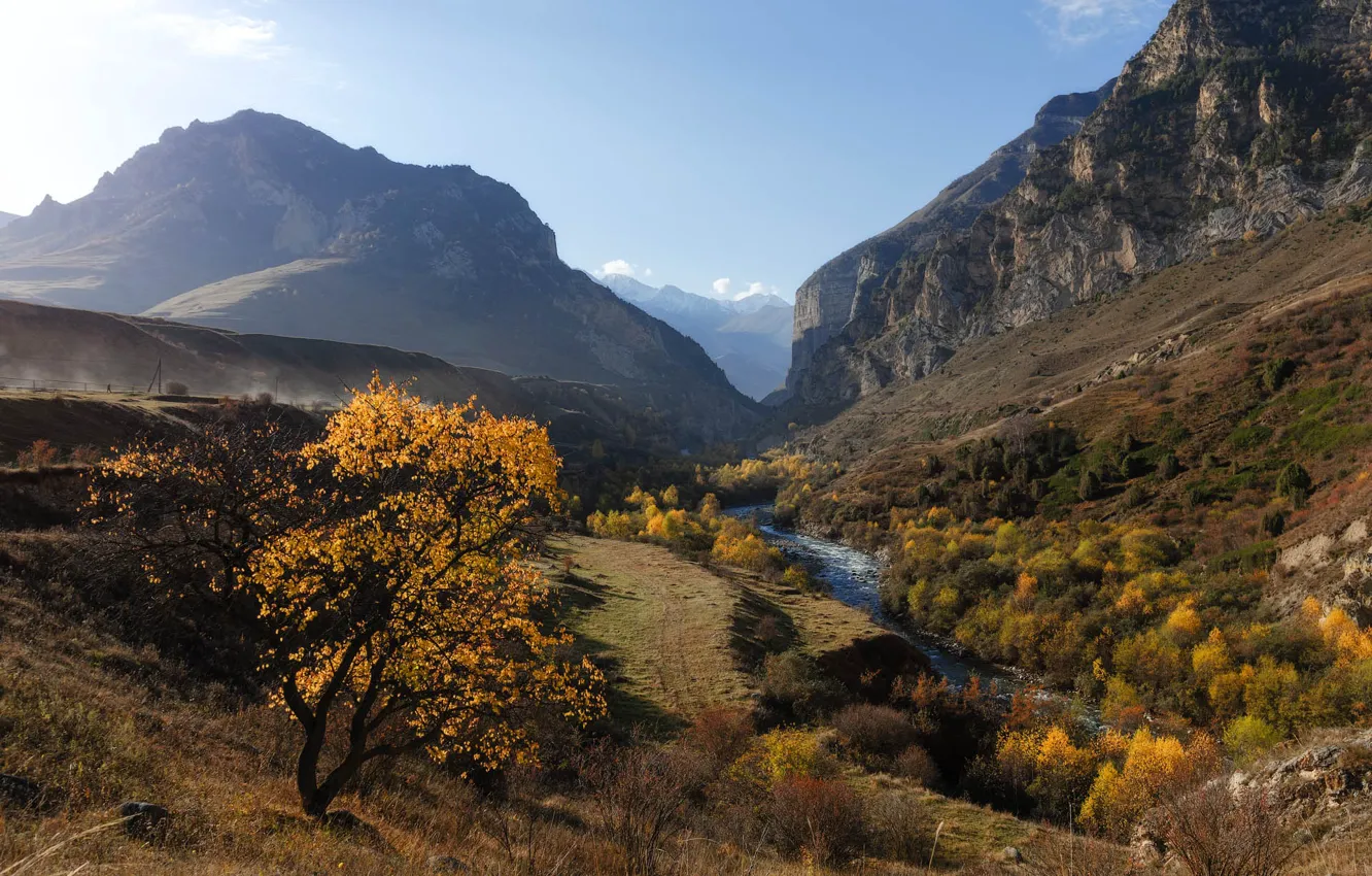 Photo wallpaper autumn, landscape, mountains, nature, river, Kabardino-Balkaria, Yuriy Shevchenko, Chegem Gorge