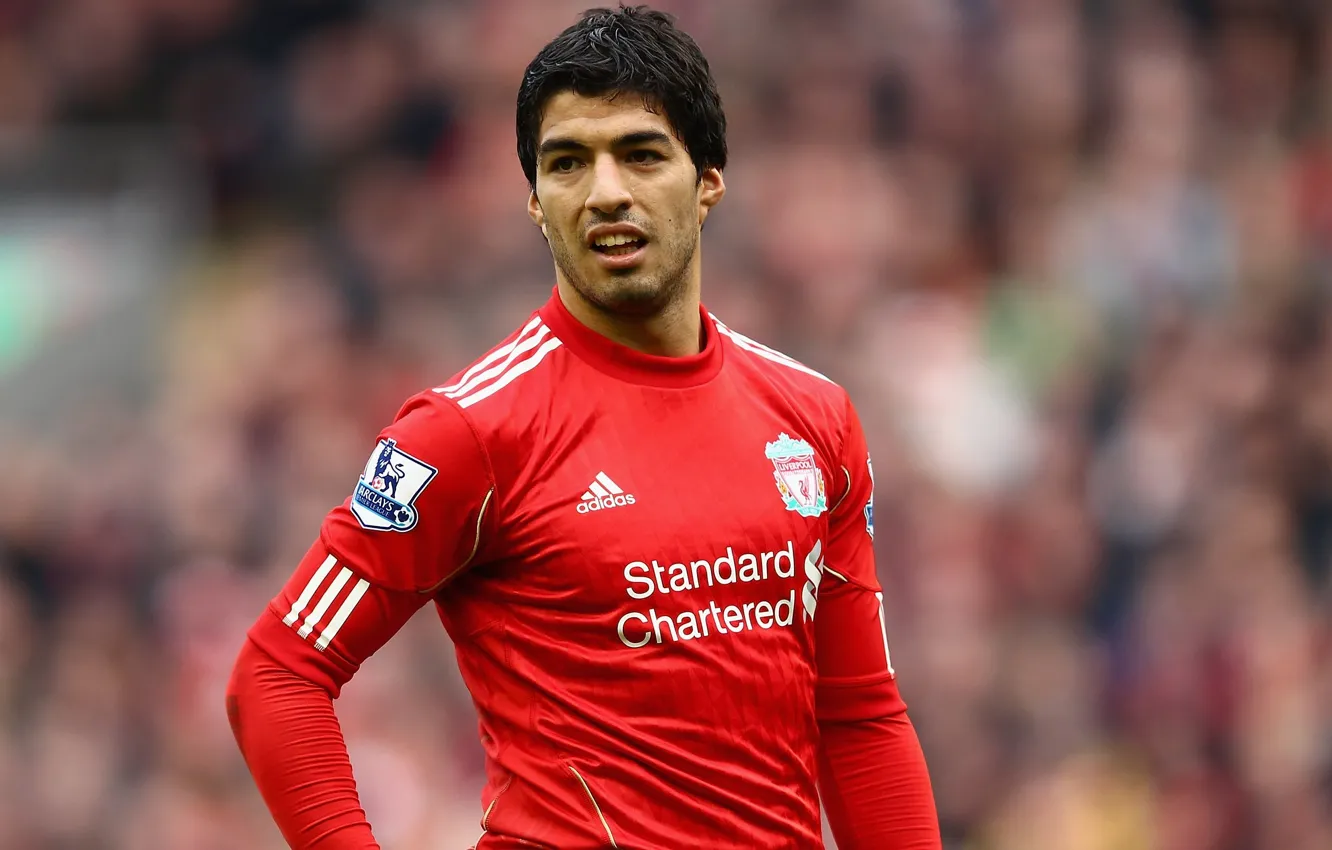 Photo wallpaper football, football, Liverpool, Liverpool, YNWA, EPL, Physical therapy, Luis Suarez