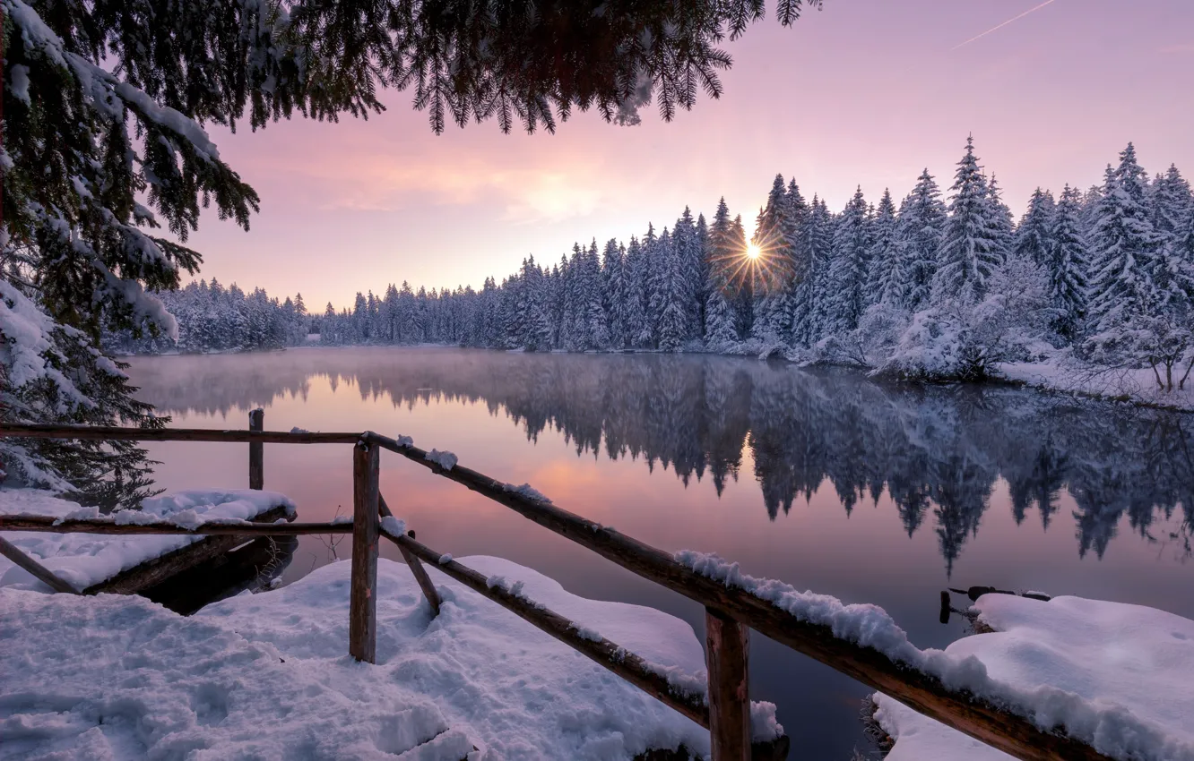 Photo wallpaper winter, forest, lake