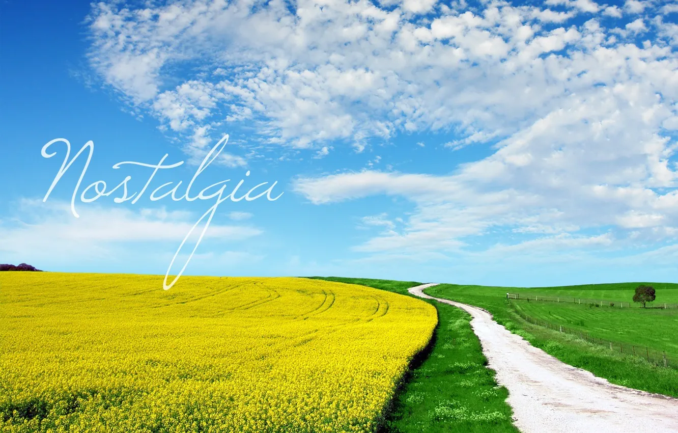 Photo wallpaper road, greens, field, the sky, yellow