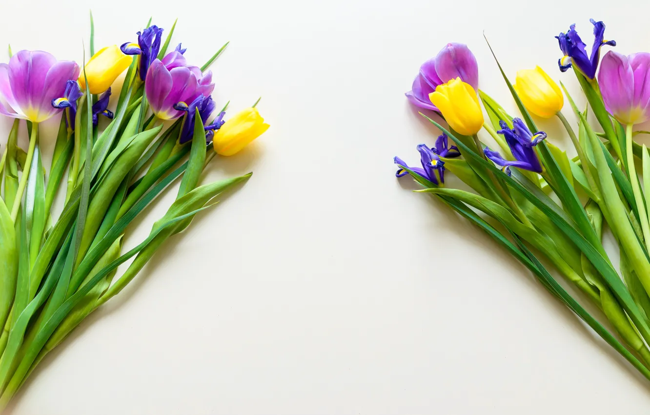 Photo wallpaper Flowers, tulips, irises