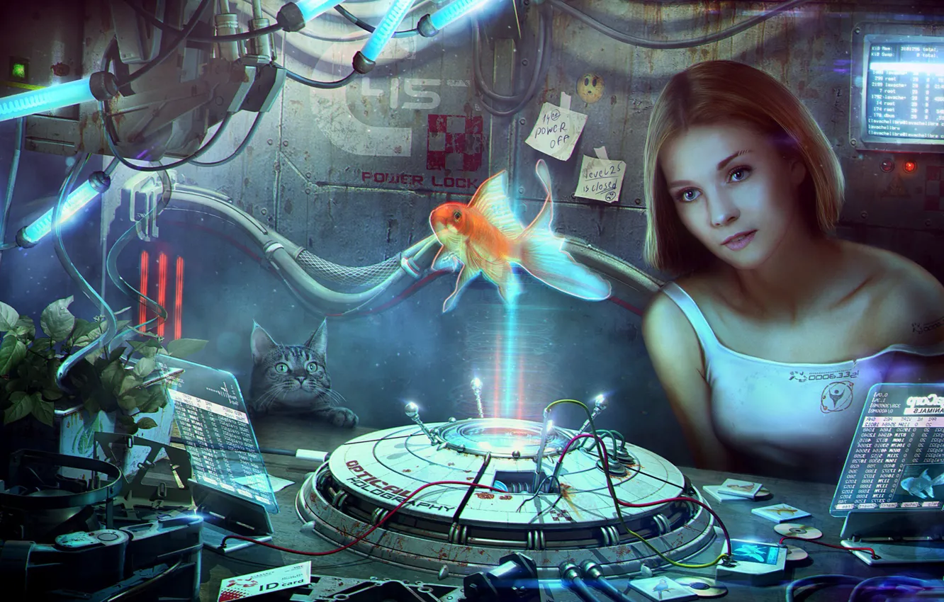 Photo wallpaper cat, fish, Holographic life, Vladimir Manyukhin, Holographic life