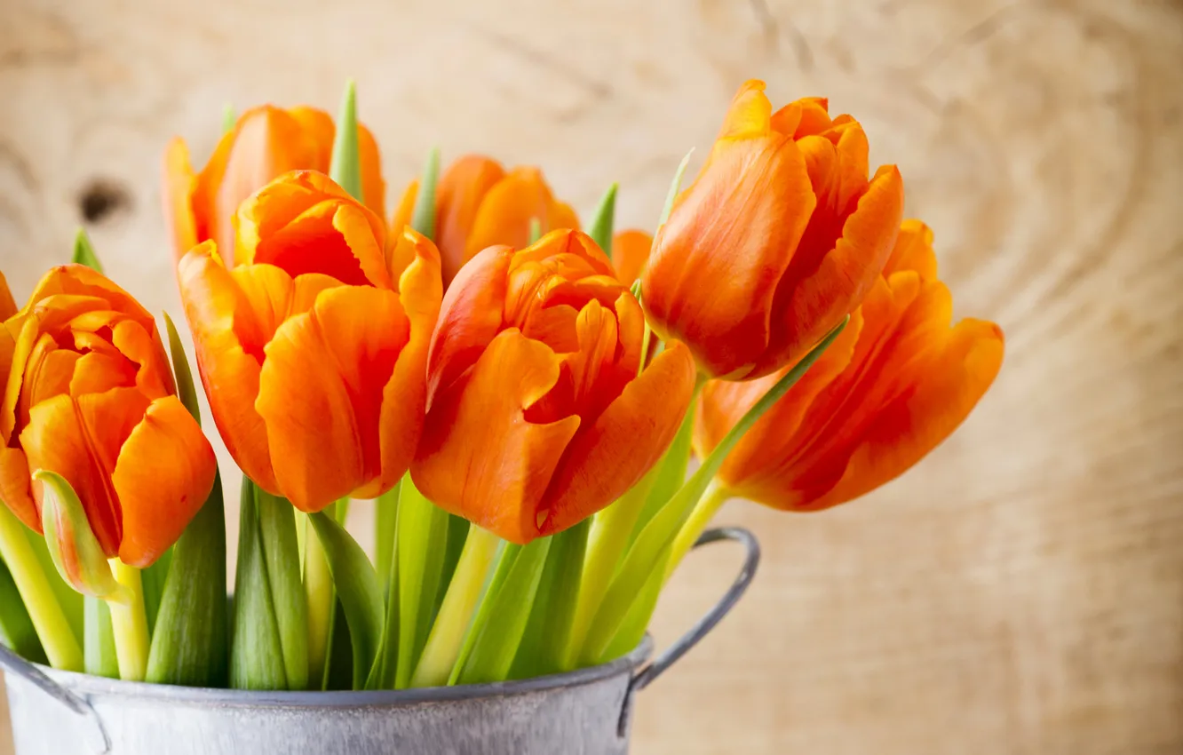 Photo wallpaper leaves, orange, tulips, pot, closeup