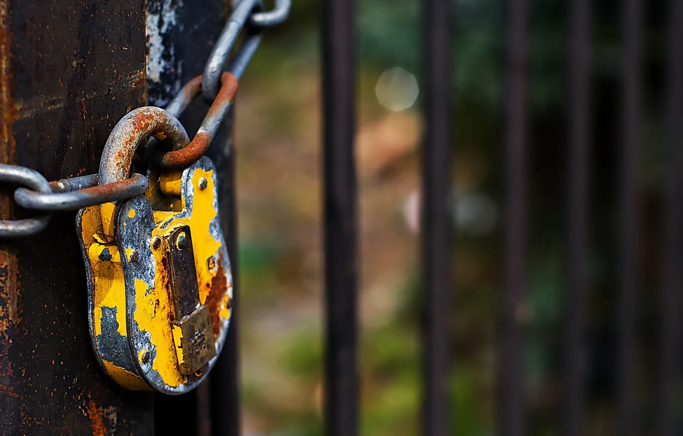 Photo wallpaper macro, castle, the fence