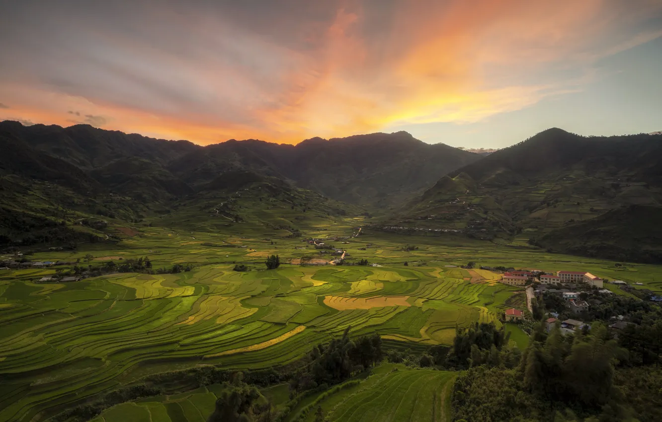 Photo wallpaper mountains, Asia, tea plantations