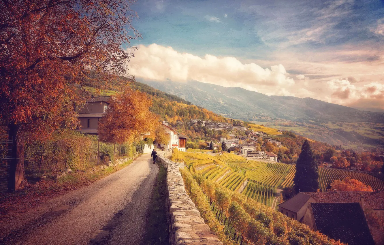 Photo wallpaper road, autumn, clouds, trees, landscape, mountains, foliage, slope