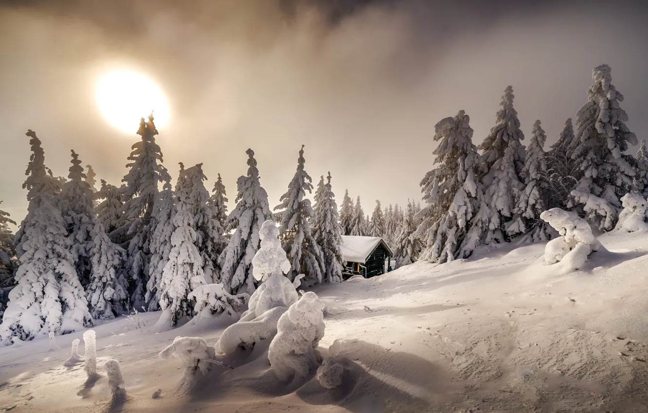 Photo wallpaper winter, snow, trees, landscape, nature, house, ate, slope