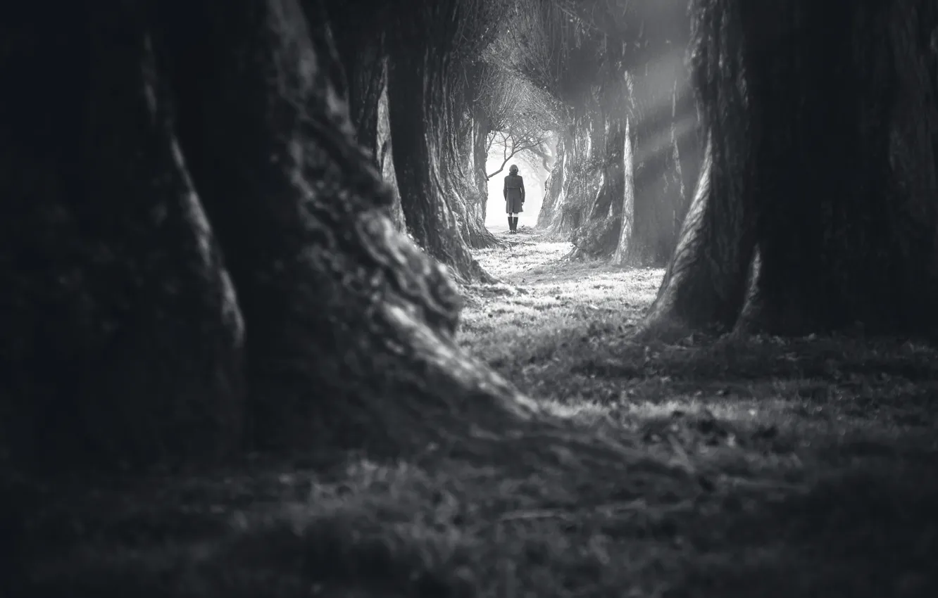 Photo wallpaper dark, white, forest, woman