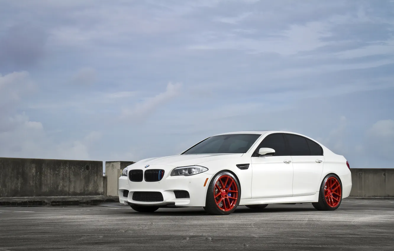 Photo wallpaper roof, white, BMW, BMW, Parking, white, front view, F10