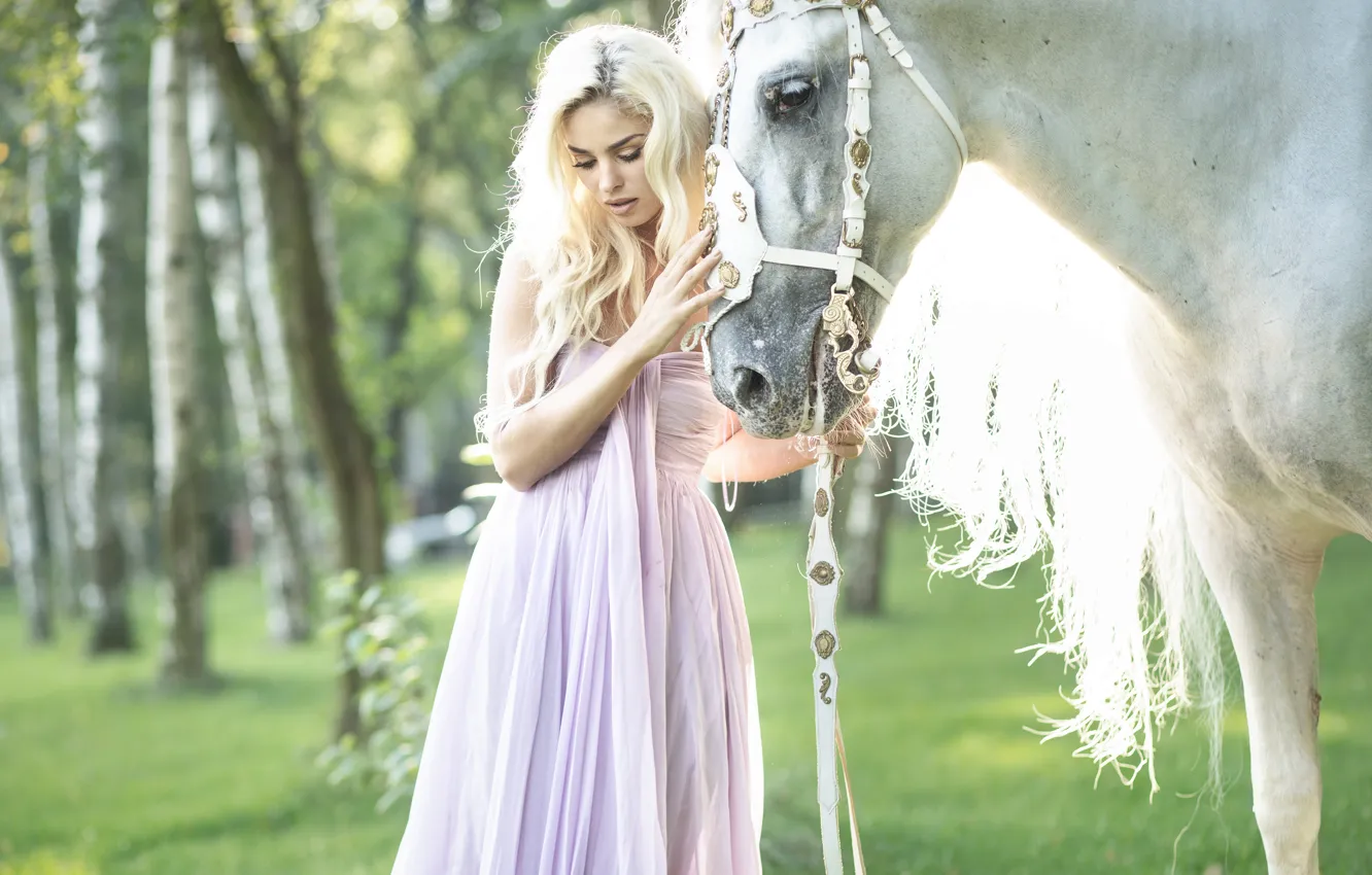 Photo wallpaper girl, horse, horse, dress