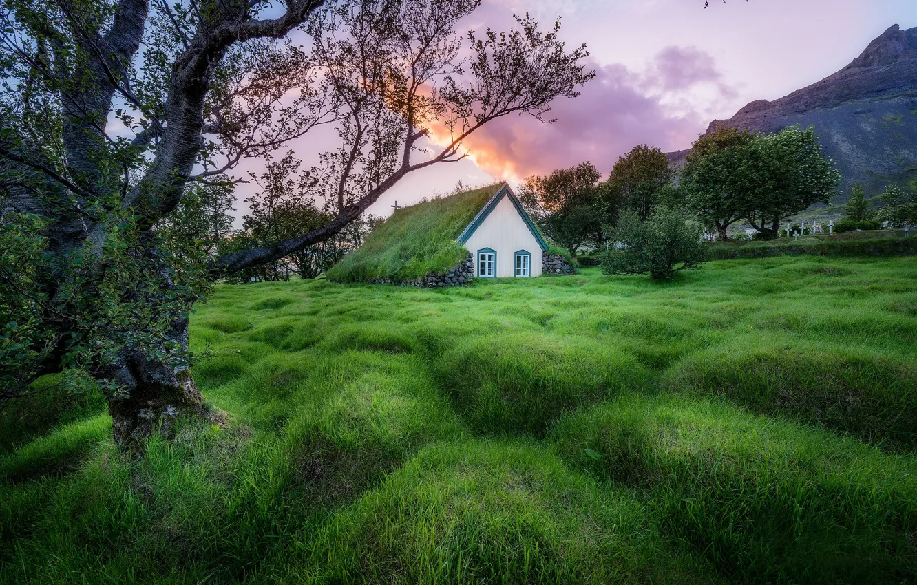 Photo wallpaper grass, trees, Church, Iceland, Iceland, The yard, Hofskirkja Church, Hof