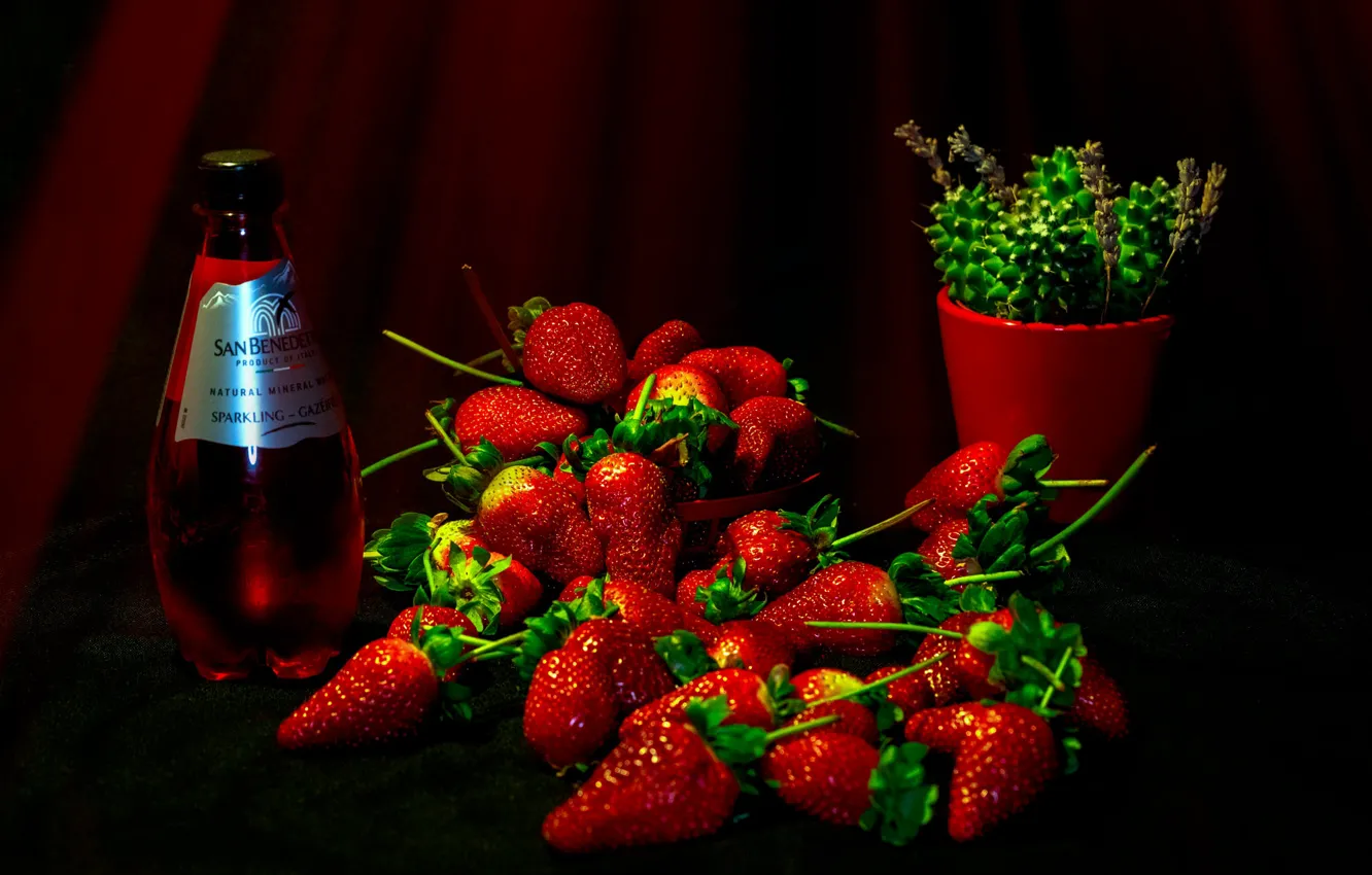 Photo wallpaper red, berries, the dark background, wine, bottle, cactus, strawberry, fabric