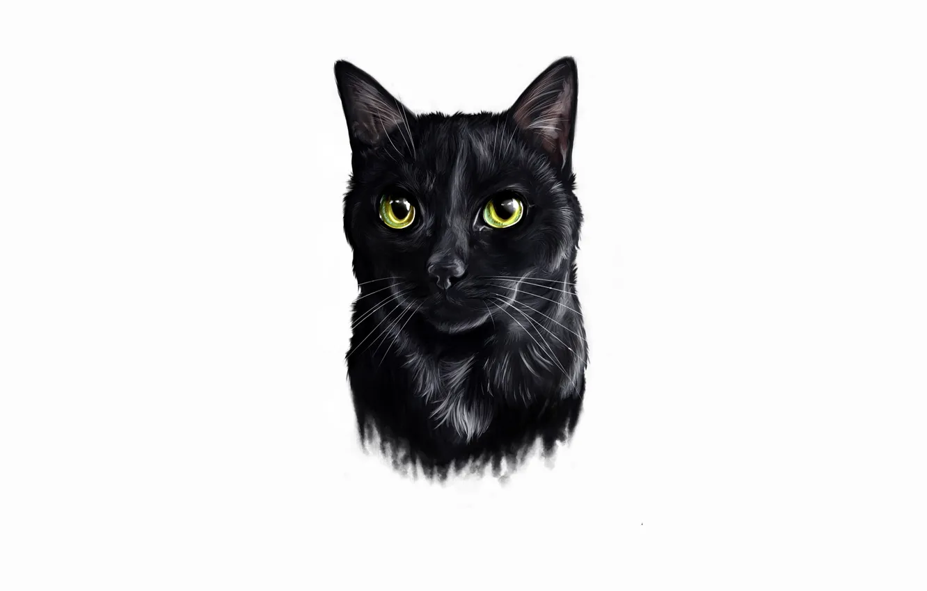 Photo wallpaper cat, cat, black, minimalism, light background, cat