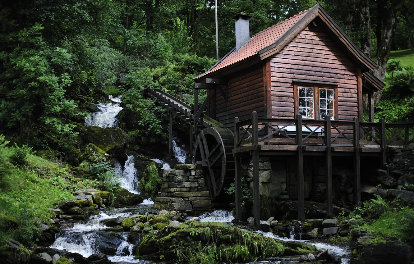Photo wallpaper forest, house, river, mill