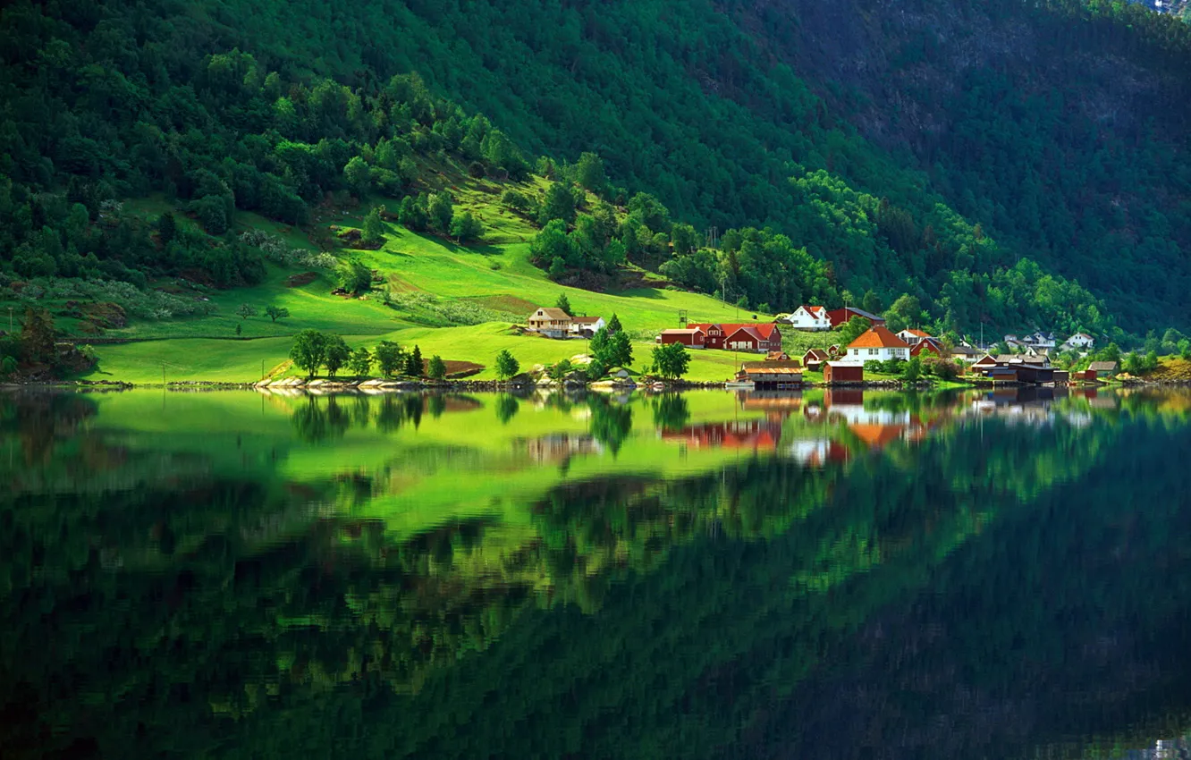 Photo wallpaper greens, forest, summer, lake, reflection, home, Nature, village