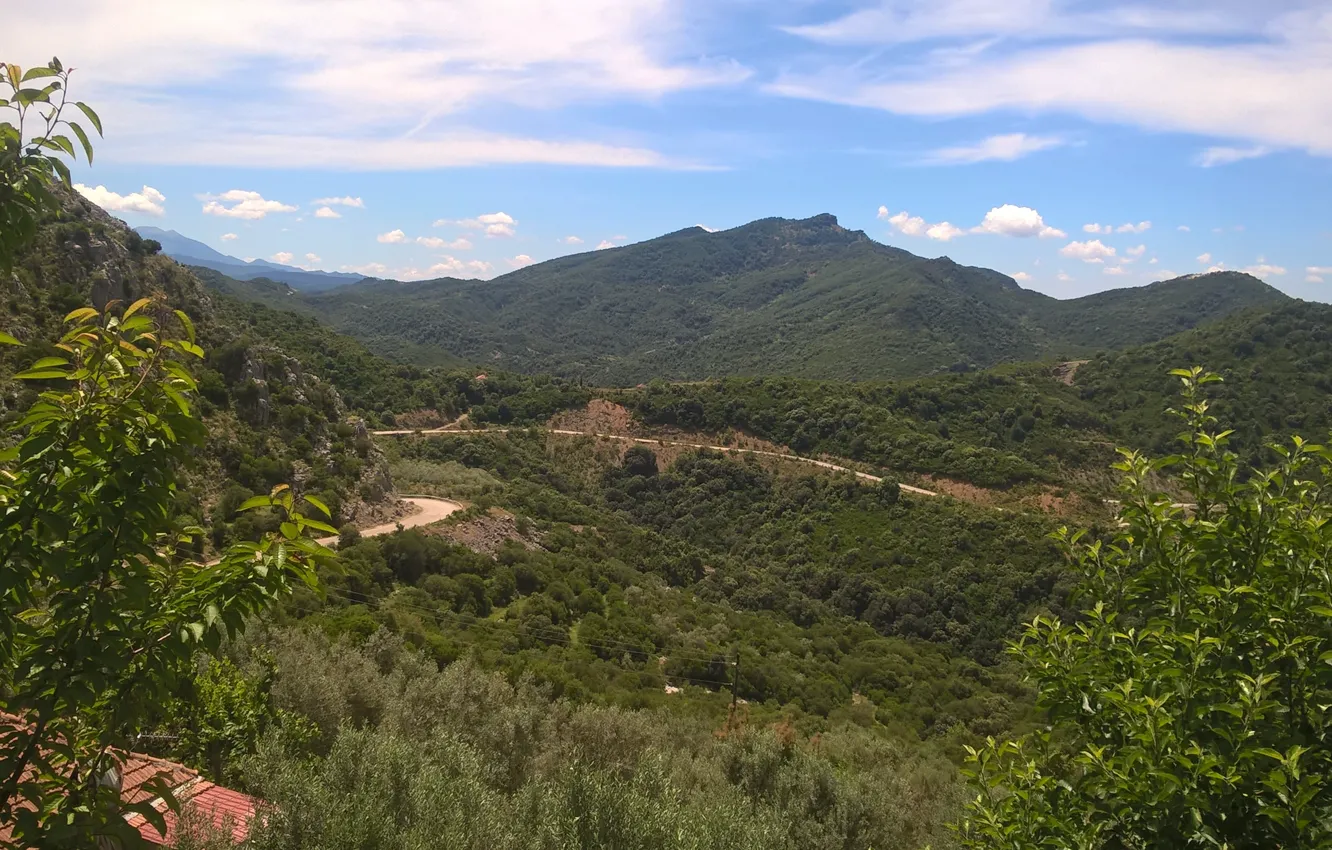 Photo wallpaper road, trees, mountain