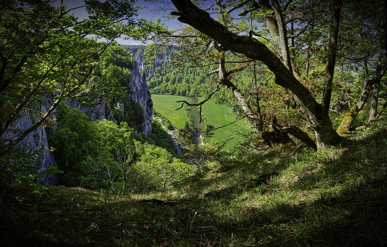 Photo wallpaper trees, river, rocks, valley
