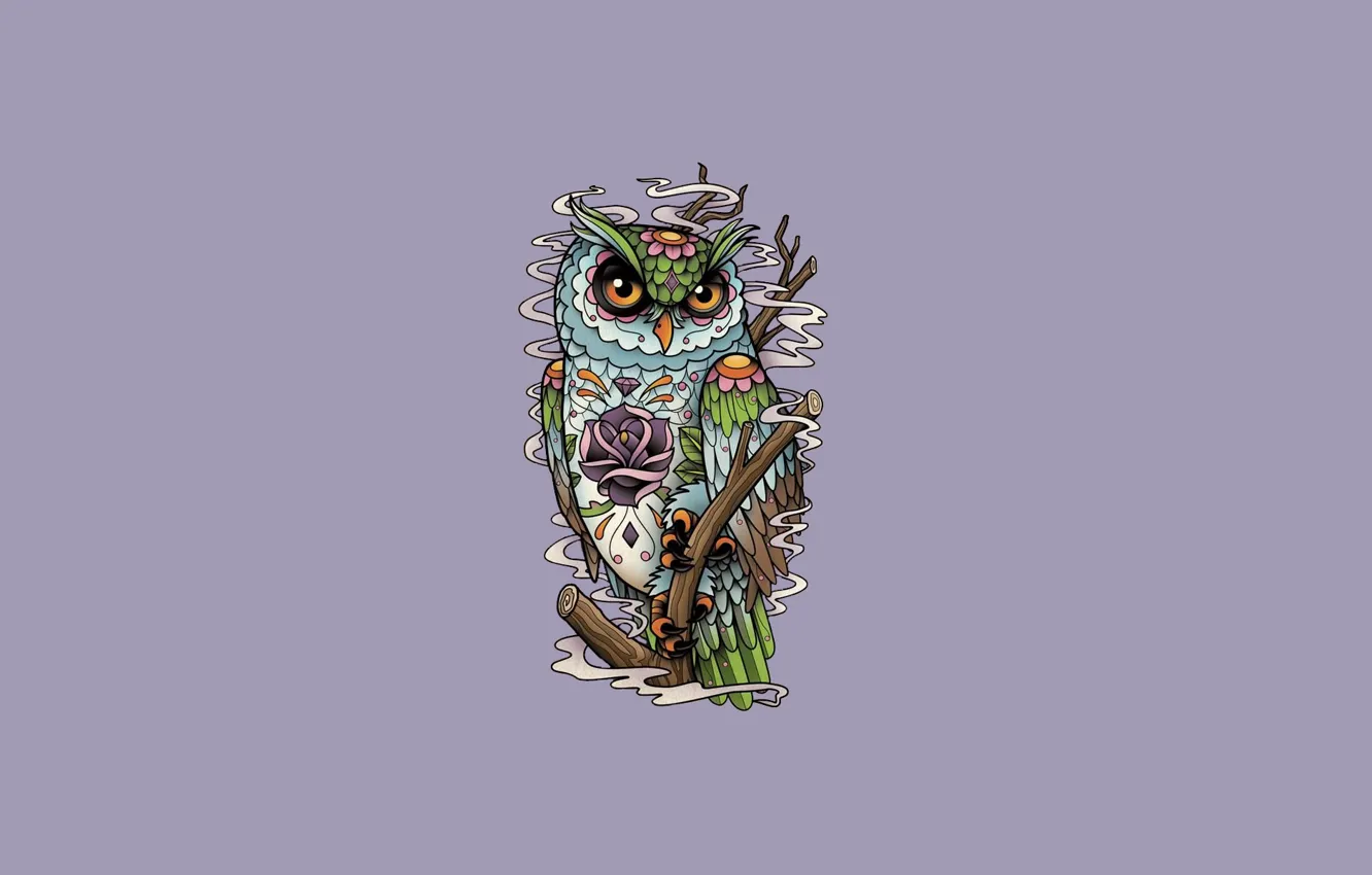 Photo wallpaper flower, owl, bird, minimalism, branch, owl