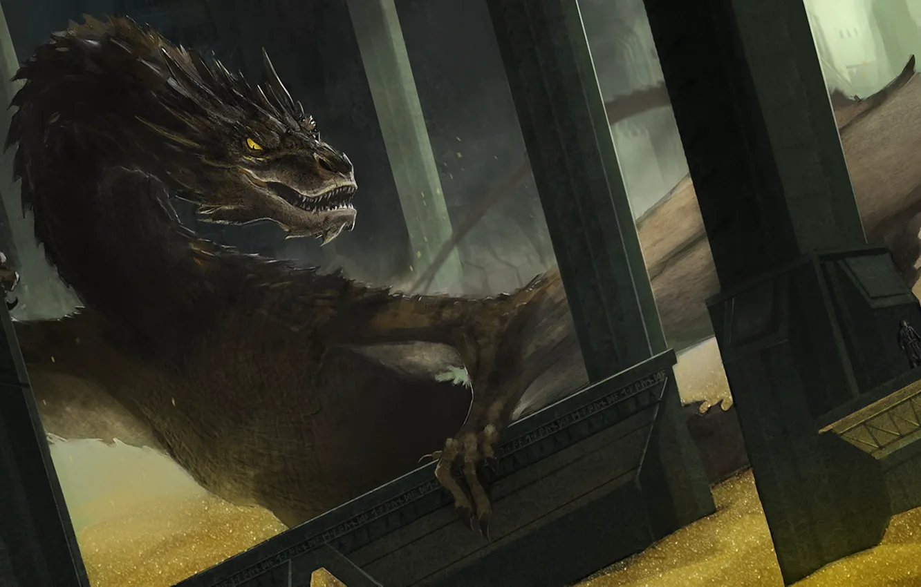 Photo wallpaper gold, dragon, art, The hobbit, The Hobbit: The Desolation Of Smaug, The Hobbit: The Desolation …