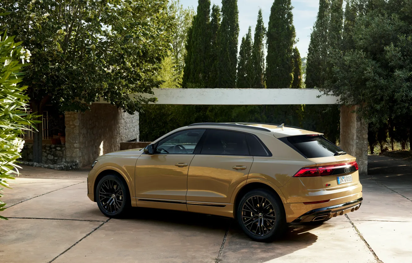 Wallpaper car, Audi, trees, Q8, Audi Q8 2024 images for desktop