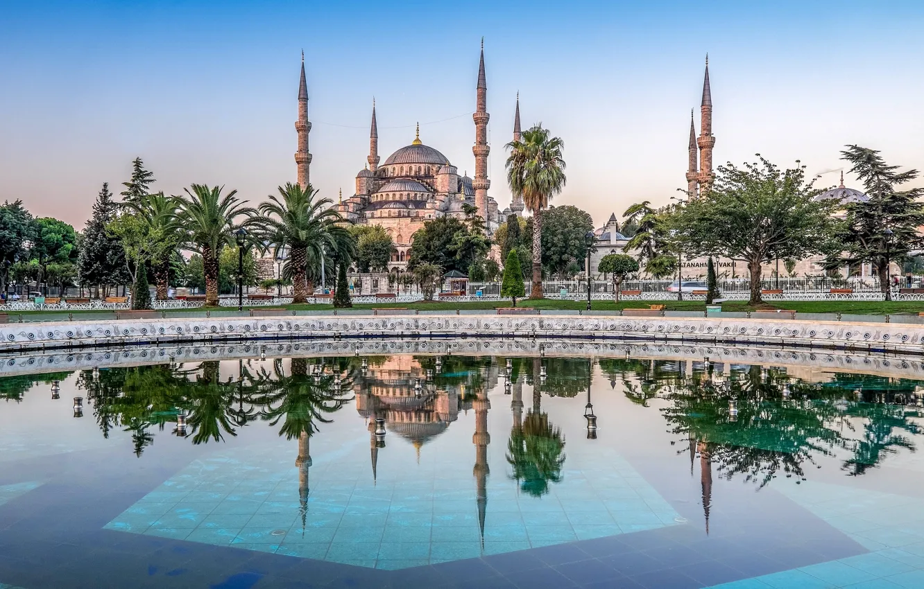 Photo wallpaper trees, reflection, palm trees, pool, Istanbul, The Mosque Of Sultan Ahmet, Turkey, Istanbul