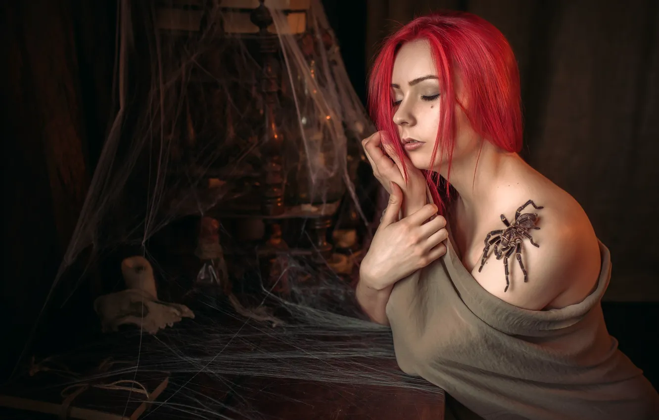 Photo wallpaper girl, web, spider, shoulder, Albert Forest