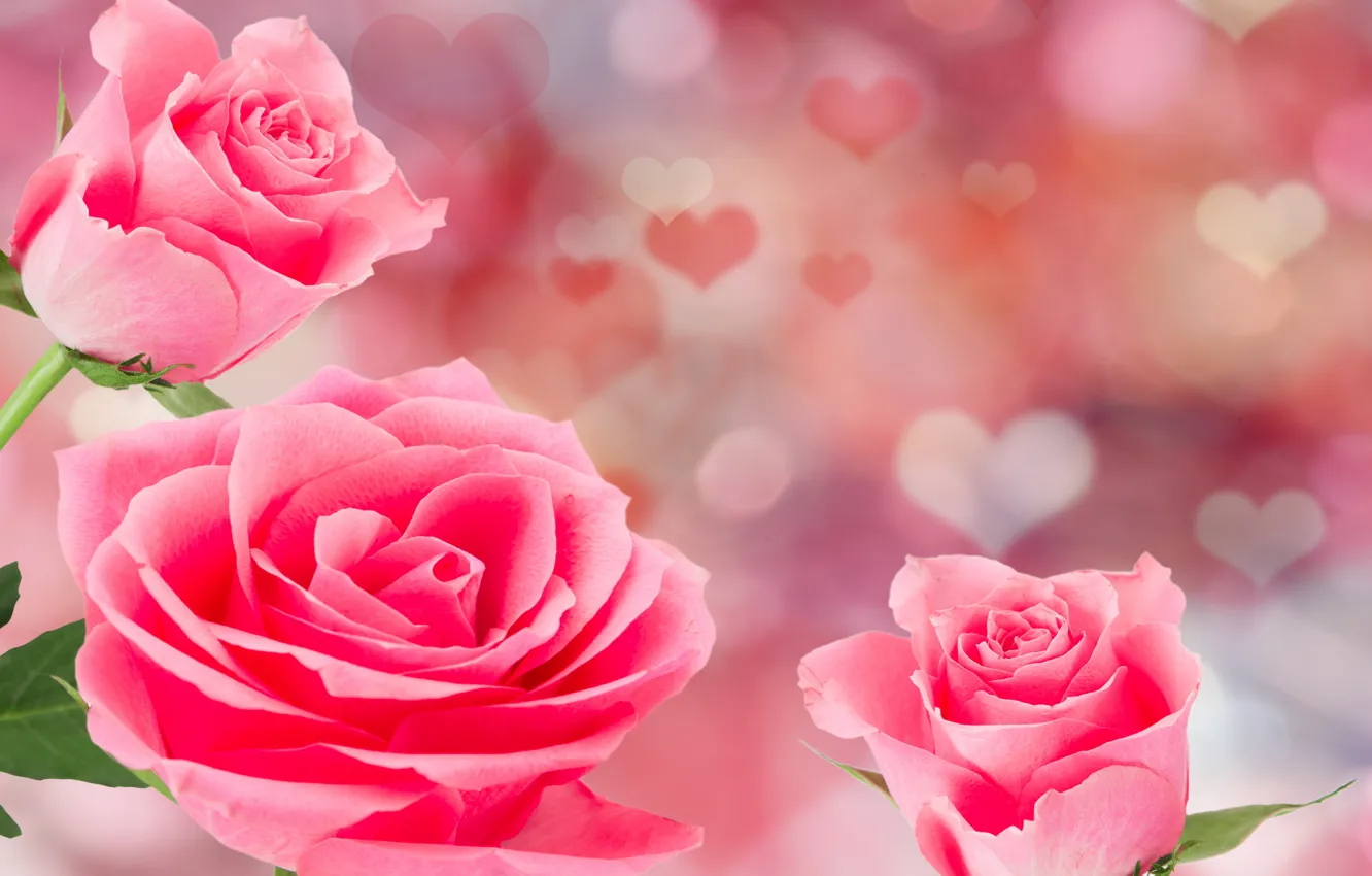 Photo wallpaper roses, pink, flowers, romantic, hearts, Valentine's Day, roses