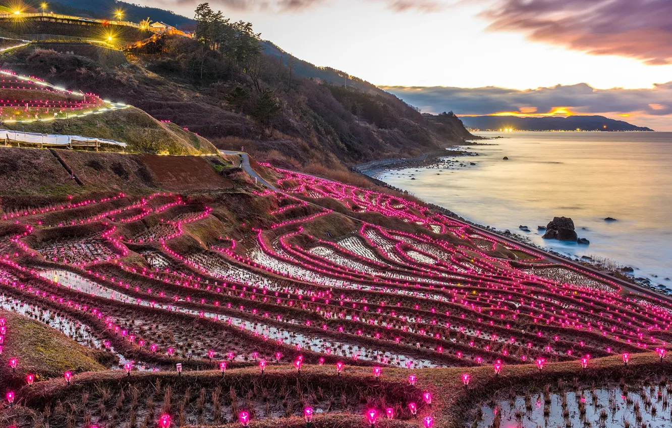Photo wallpaper lights, Japan, twilight, sky, trees, field, sea, landscape