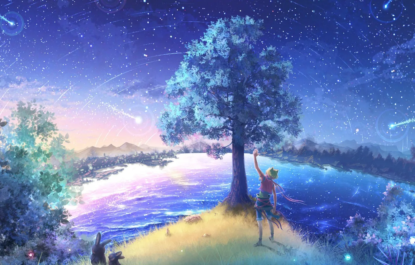 Photo wallpaper the sky, night, nature, stars, anime, art