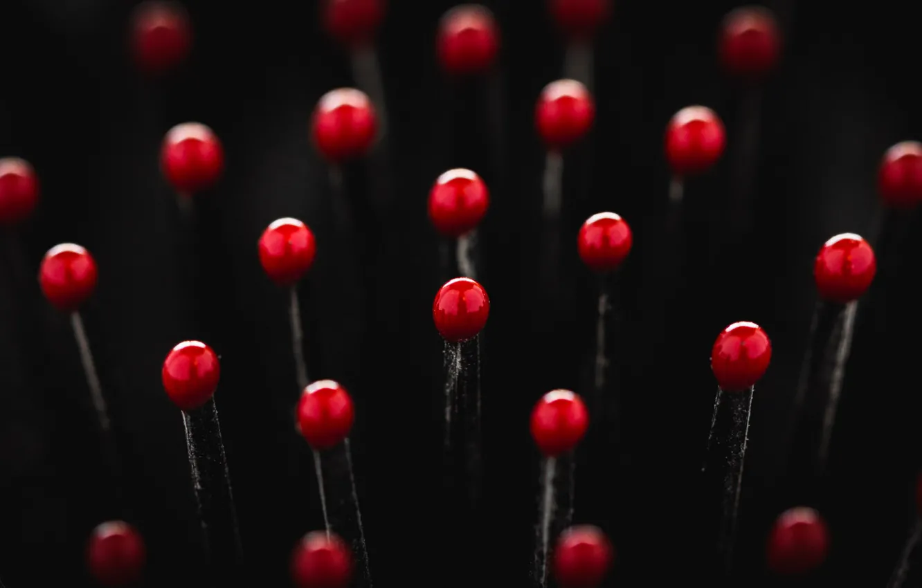 Photo wallpaper macro, background, Fur brush