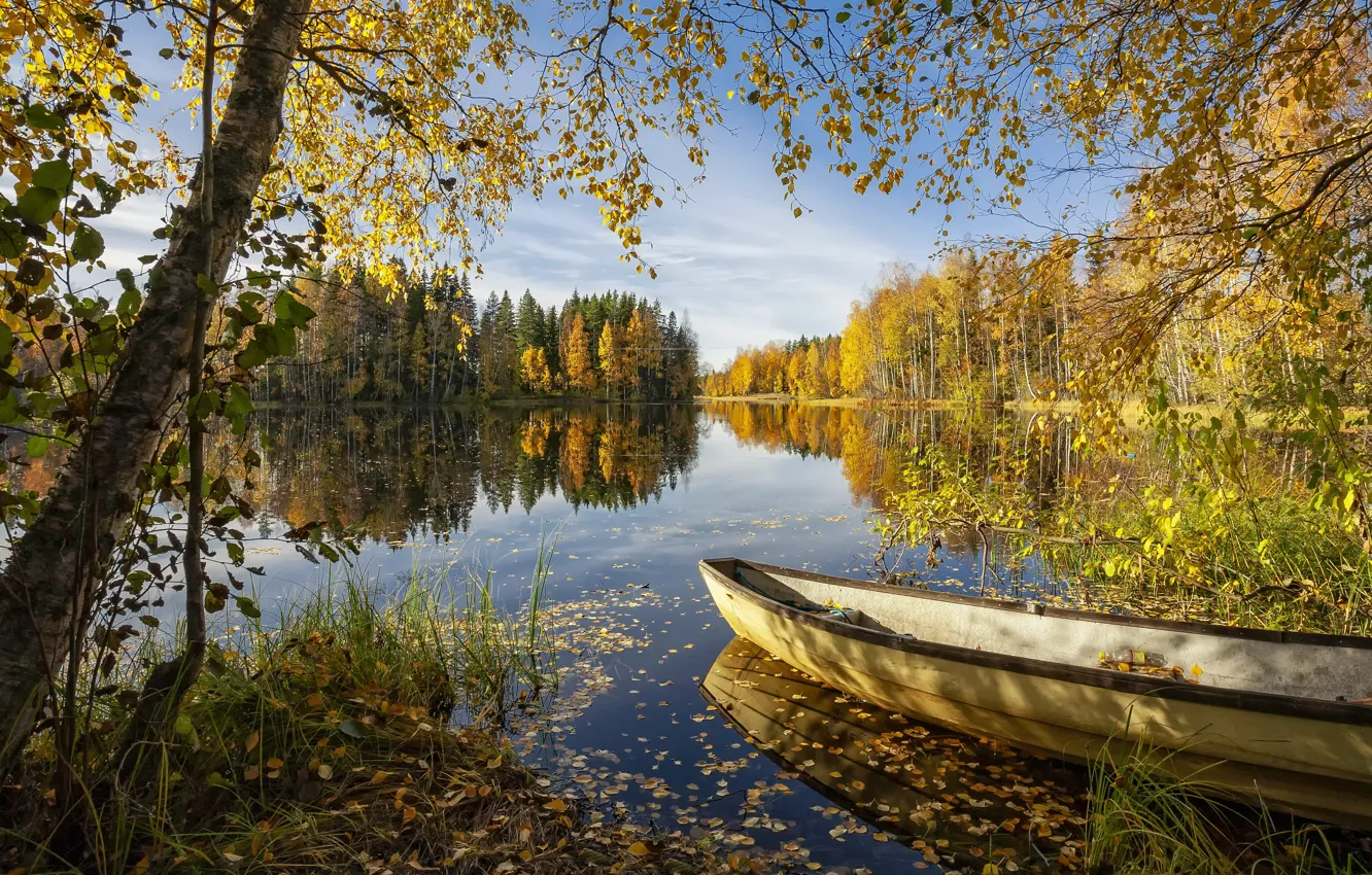 Photo wallpaper forest, summer, lake, boat