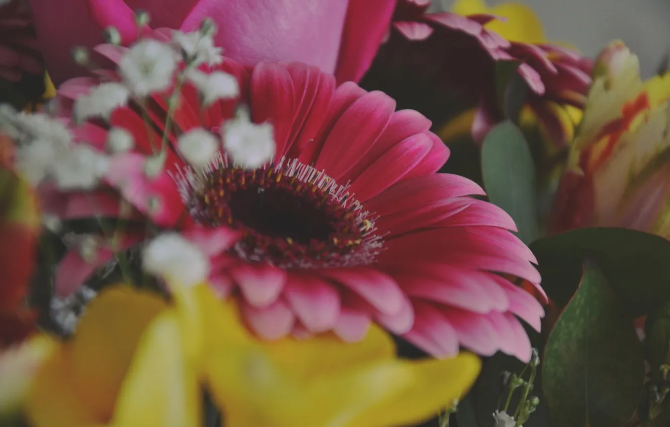 Photo wallpaper flowers, bouquet, gerbera