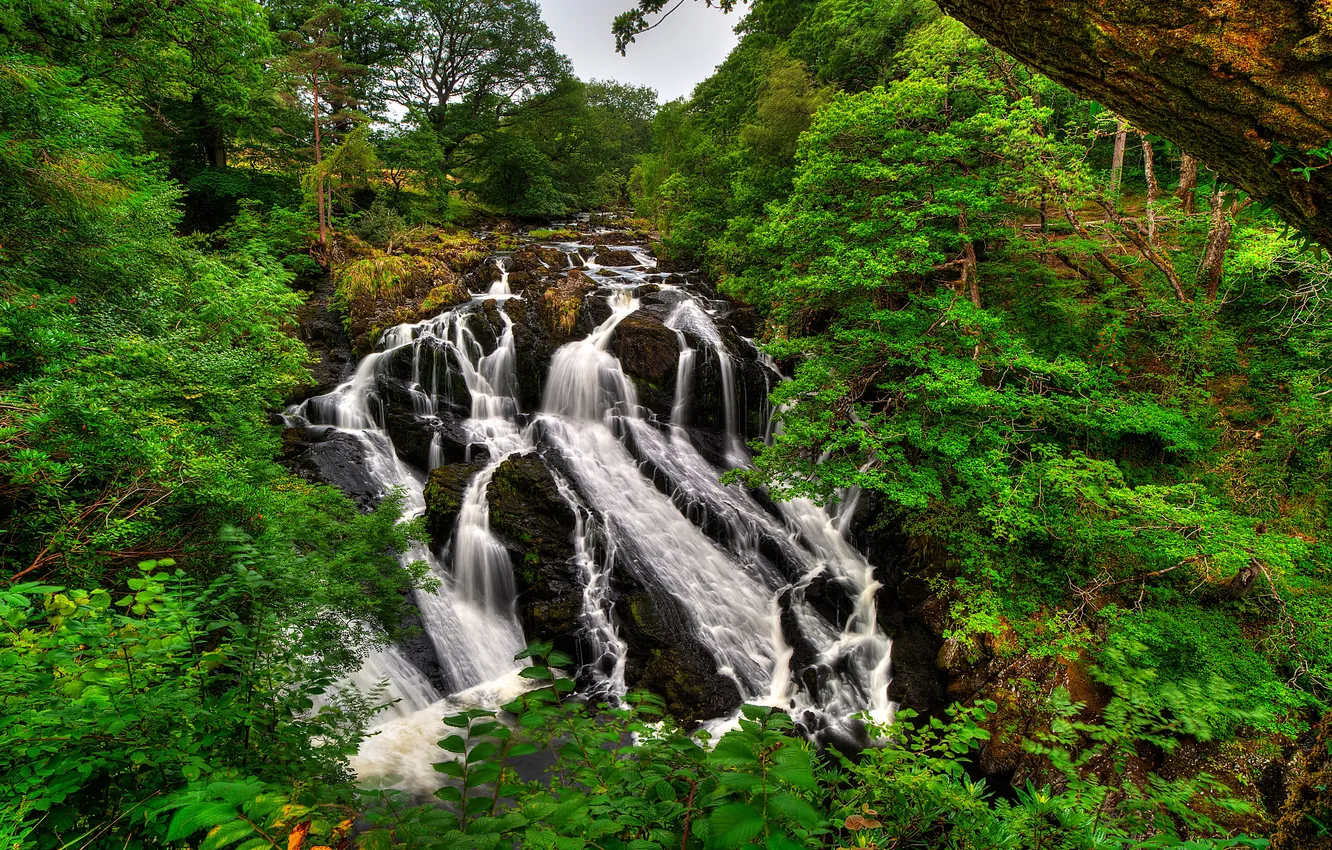 Photo wallpaper forest, trees, stones, waterfall, stream, UK, Snowdonia