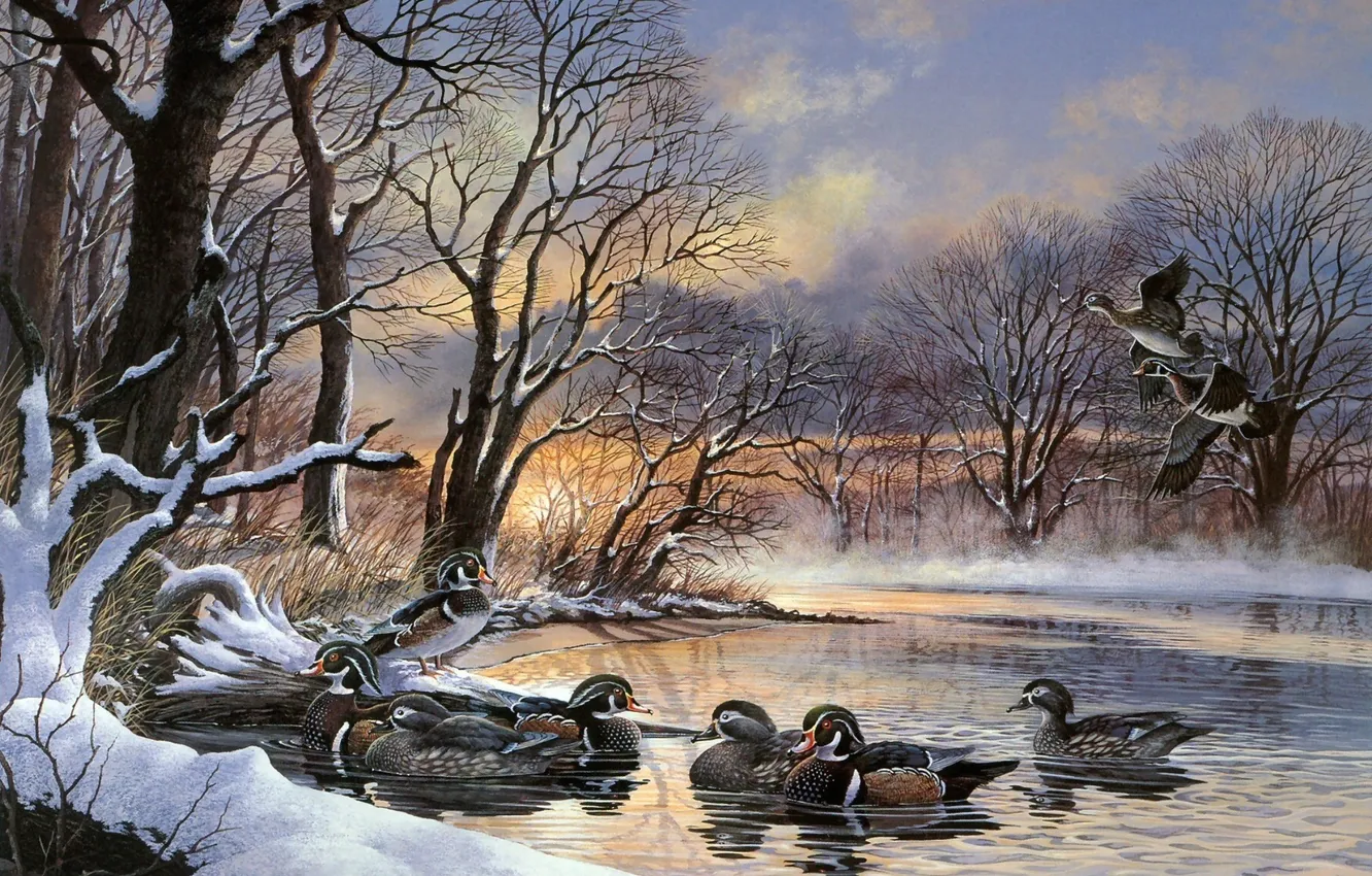 Photo wallpaper winter, sunset, lake, dawn, duck, painting, a flock of ducks, polynya