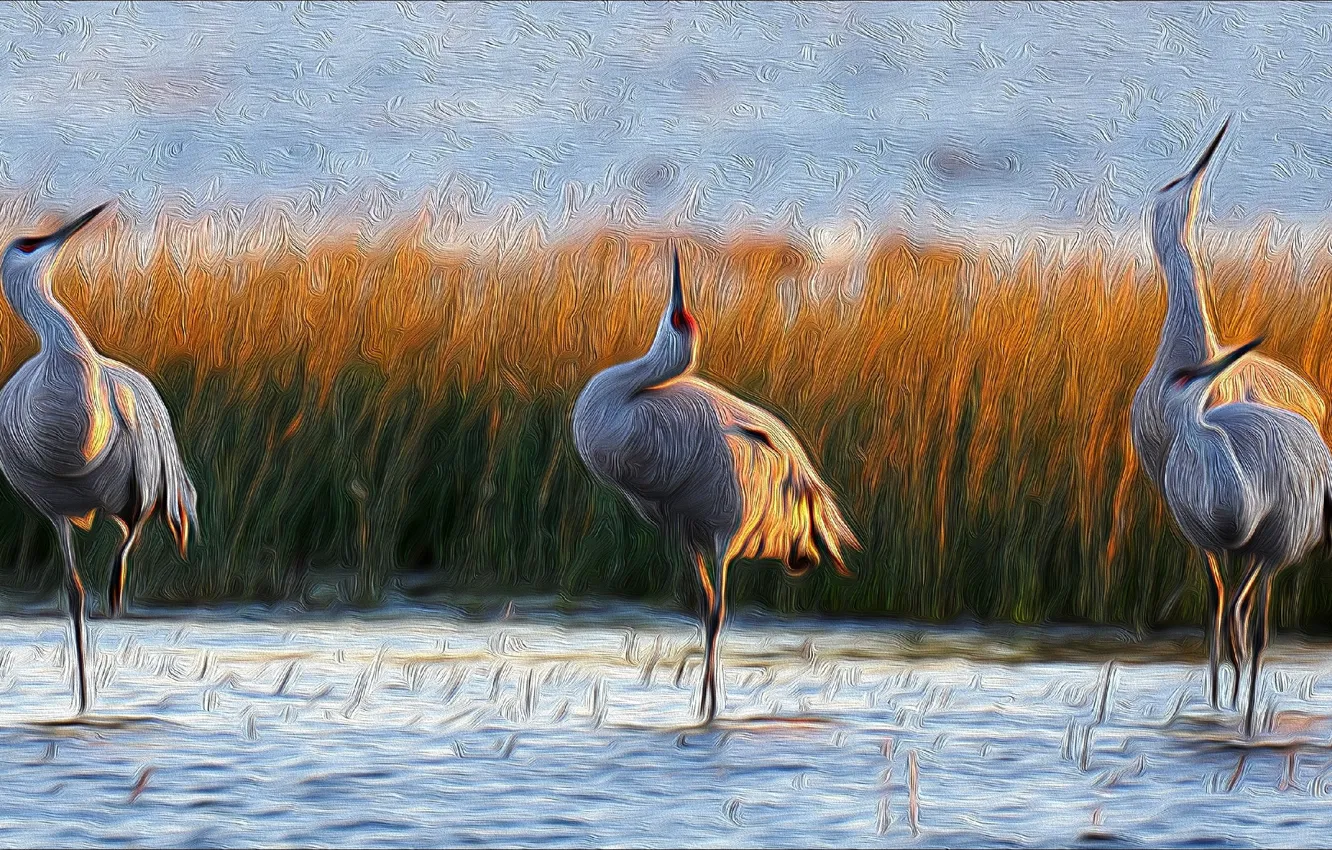 Photo wallpaper Birds, beautiful, painting, cranes