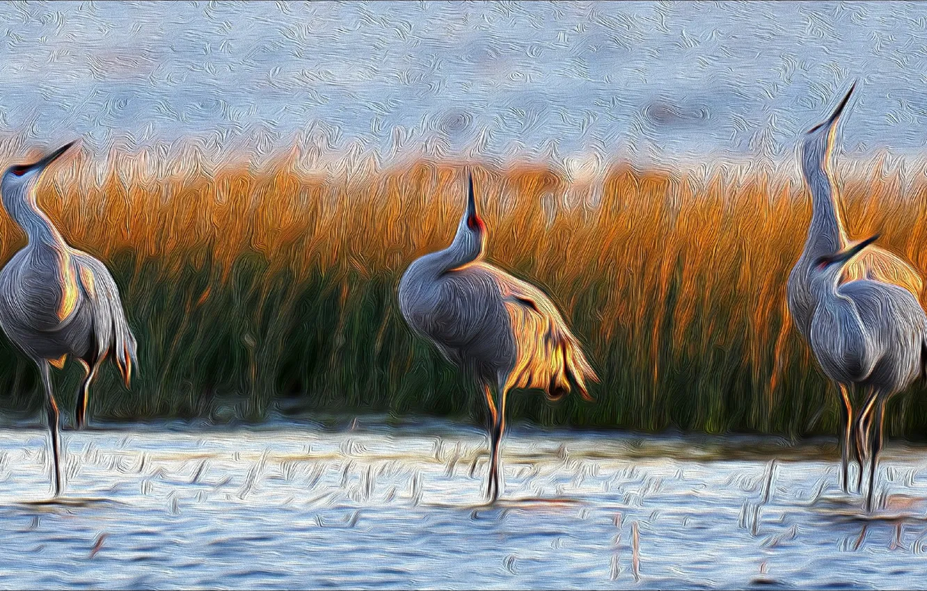 Photo wallpaper beautiful, birds, painting, Cranes