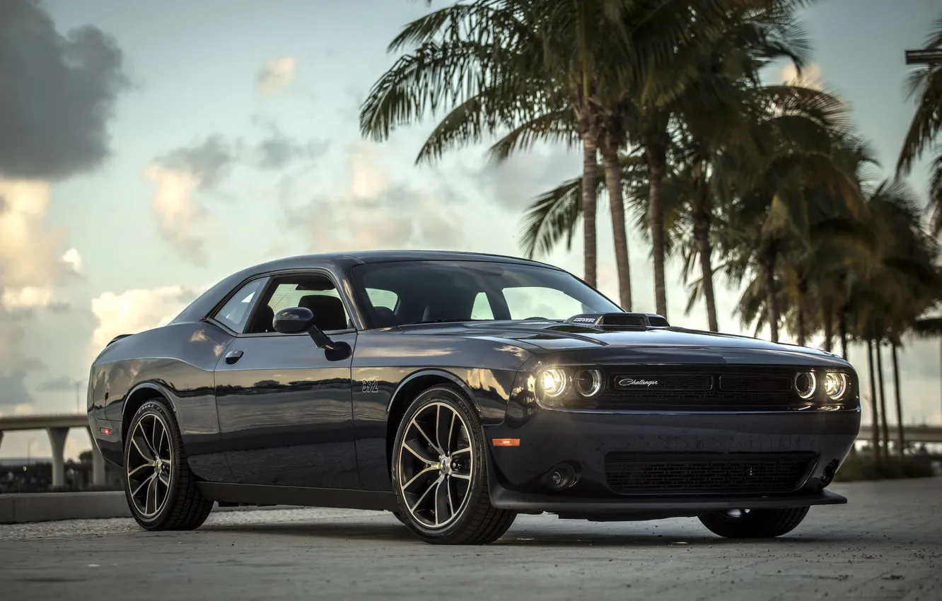 Photo wallpaper auto, palm trees, Dodge, Dodge Challenger, black