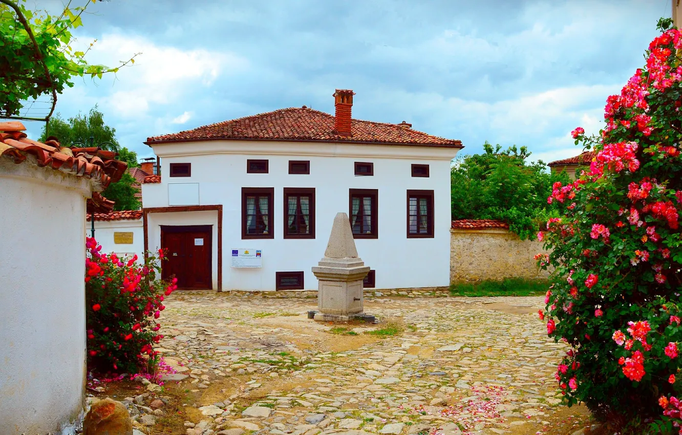 Photo wallpaper flowers, home, village, house, flowers, village