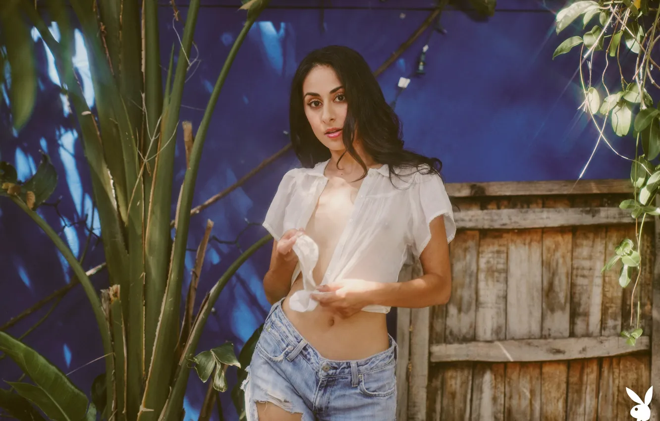 Photo wallpaper look, pose, model, plant, jeans, brunette, beauty, model