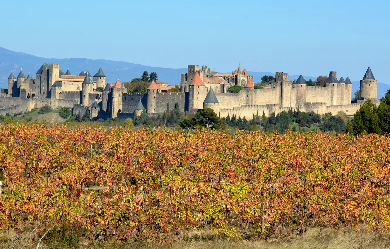 Photo wallpaper France, Carcassonne, Vineyards, Aude, 'occitanie