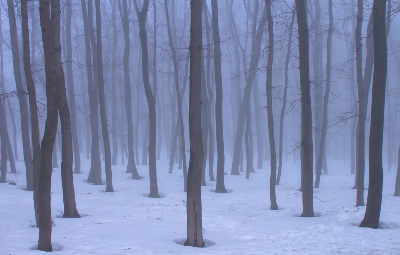 Photo wallpaper snow, trees, nature, fog, spring, Russia, Samara, Stan
