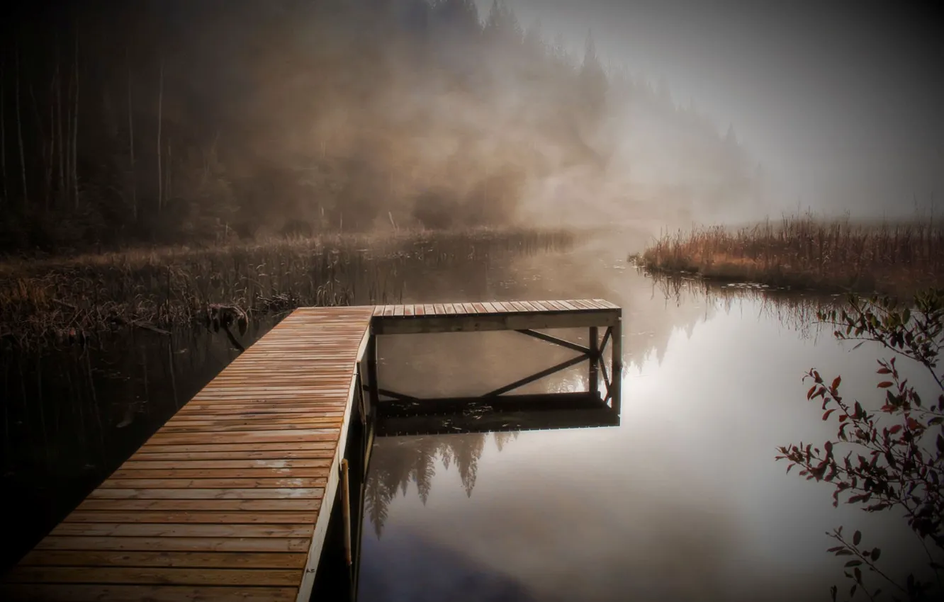 Photo wallpaper autumn, forest, nature, fog, river, background, mediocrity, Wallpaper