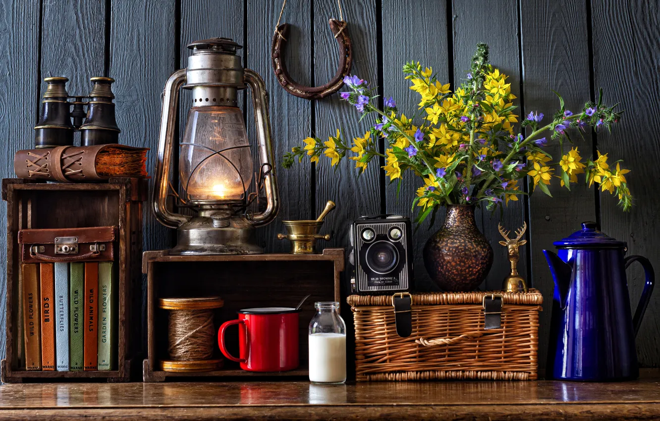 Photo wallpaper flowers, style, the camera, lights, mug, binoculars, book, still life