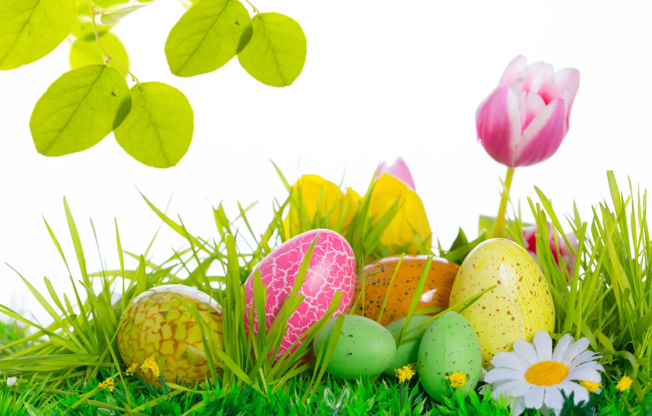 Photo wallpaper flowers, eggs, Easter, tulips, Easter