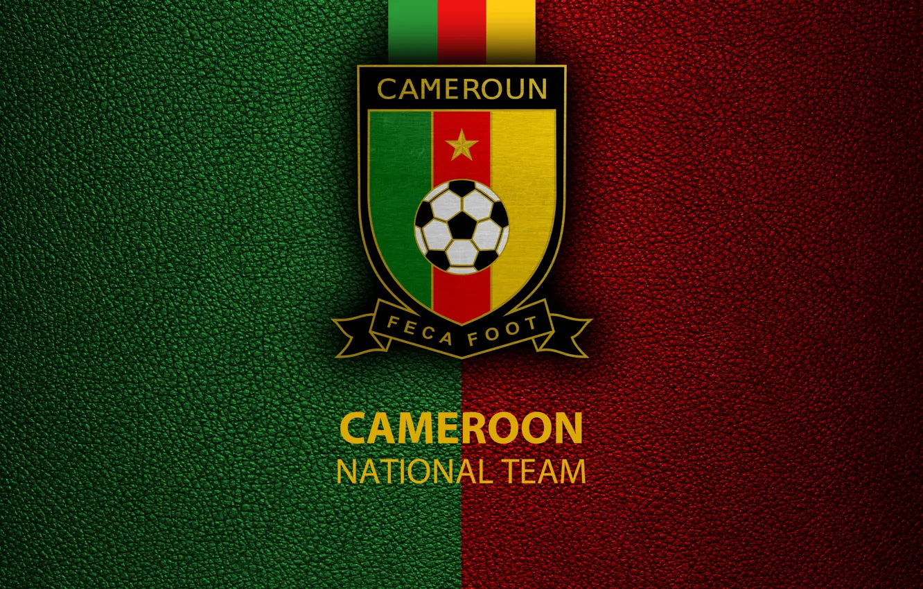 Photo wallpaper wallpaper, sport, logo, football, National team, Cameroon