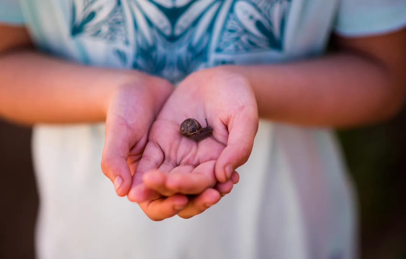 Photo wallpaper snail, hands, sink, fingers