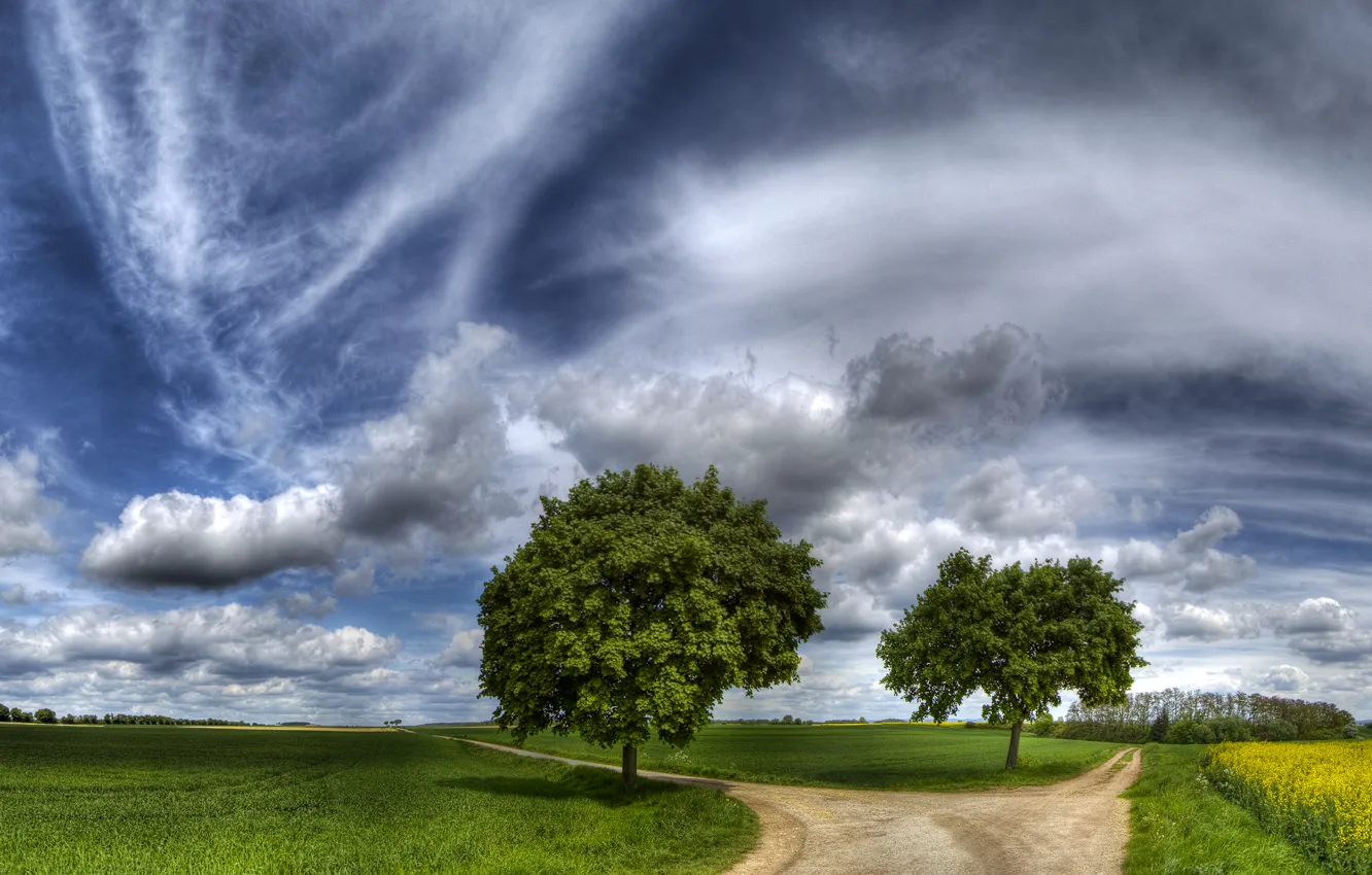 Photo wallpaper road, field, the sky, grass, trees, beautiful, choice, path