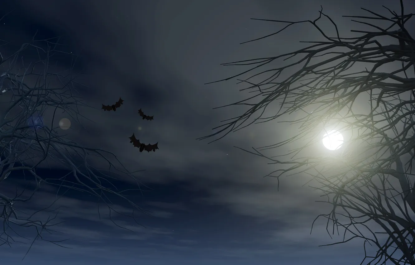 Photo wallpaper trees, night, branches, the moon, Halloween, bats, Halloween