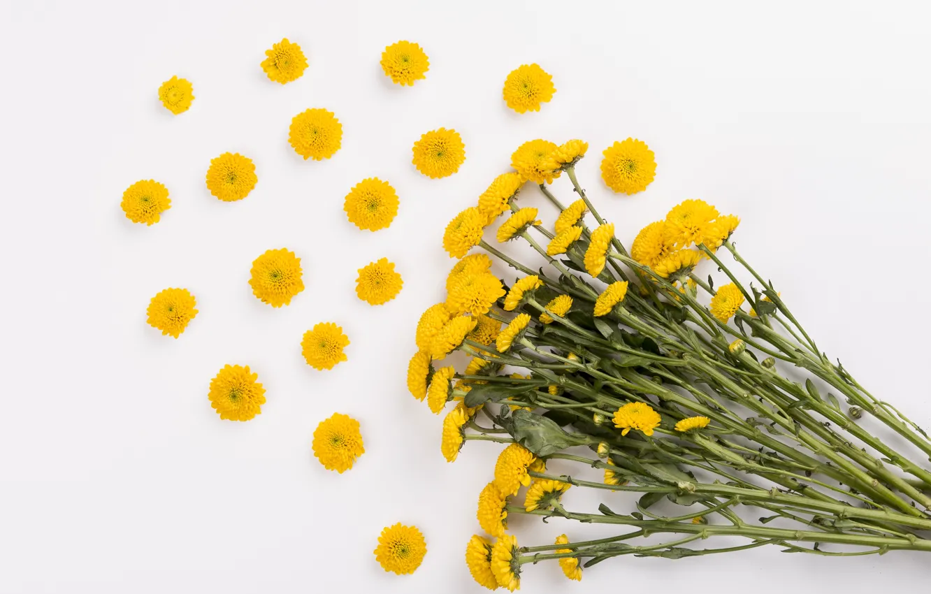 Photo wallpaper yellow, Bouquet, Daisy